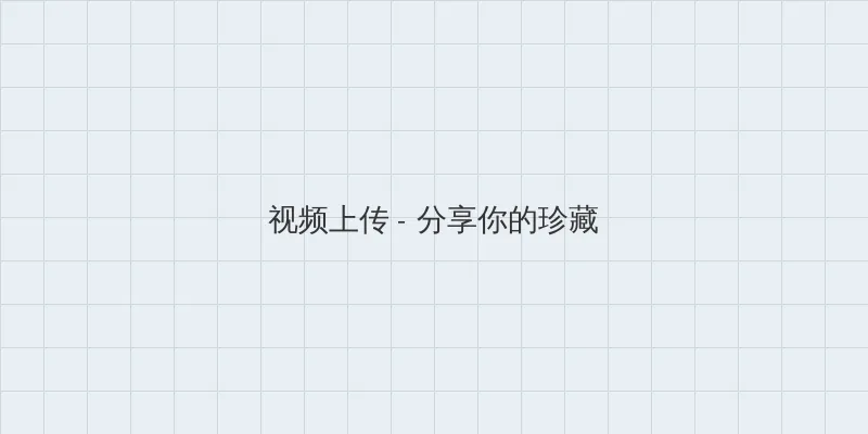 np高h 视频上传区域